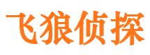 翼城外遇调查取证